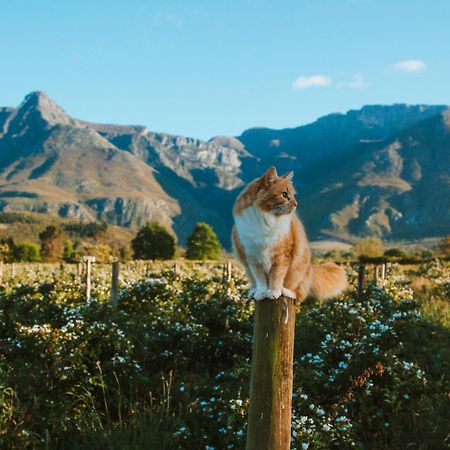 Wildebraam Berry Estate Villa Swellendam Luaran gambar
