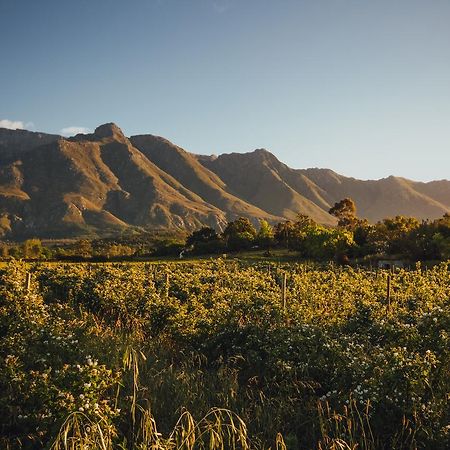 Wildebraam Berry Estate Villa Swellendam Luaran gambar