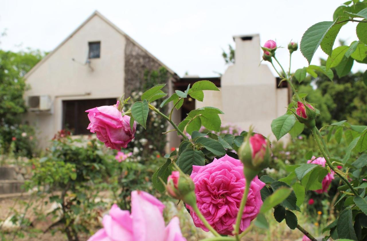 Wildebraam Berry Estate Villa Swellendam Luaran gambar
