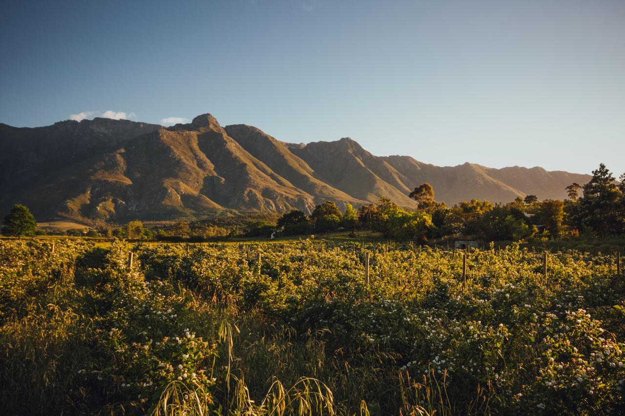 Wildebraam Berry Estate Villa Swellendam Luaran gambar